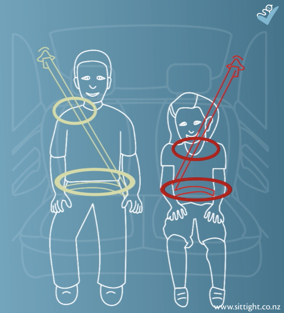 A vehicle seat belt is designed to sit across the shoulders and hips, both areas which have strong bones and can withstand force.  A child should use a booster until 148cm tall.
